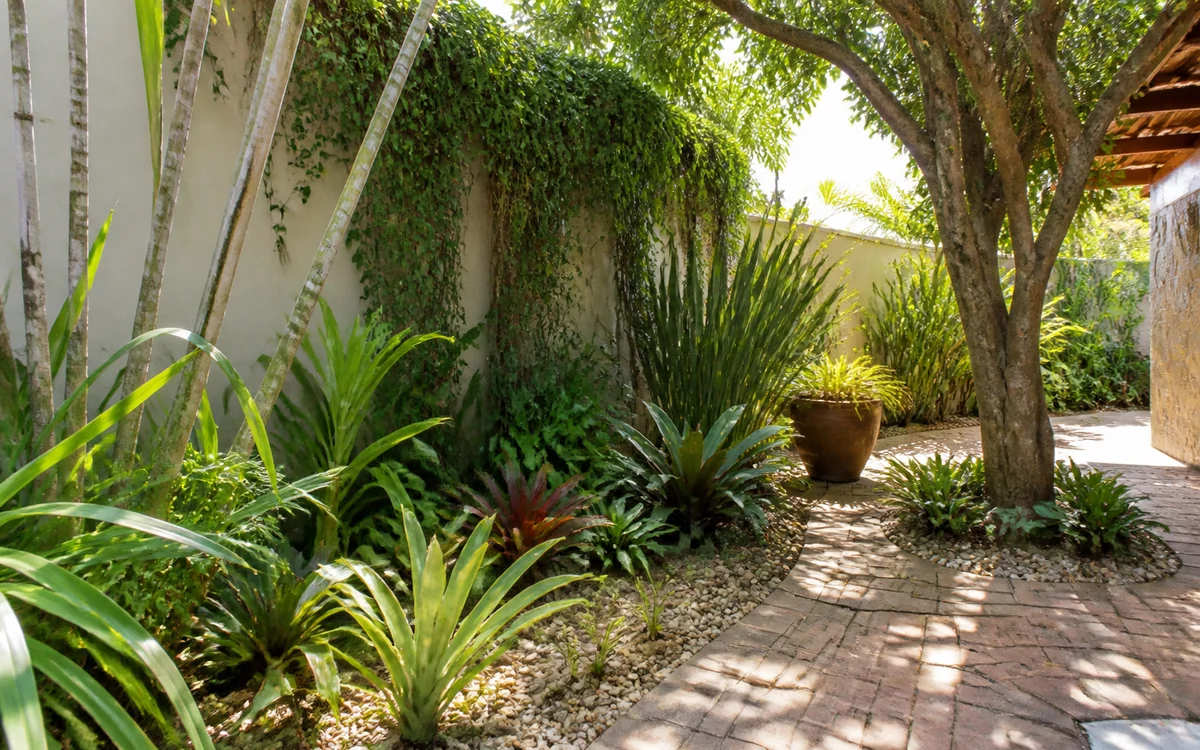 Jardim e vegetação avaliados durante controle de aranhas