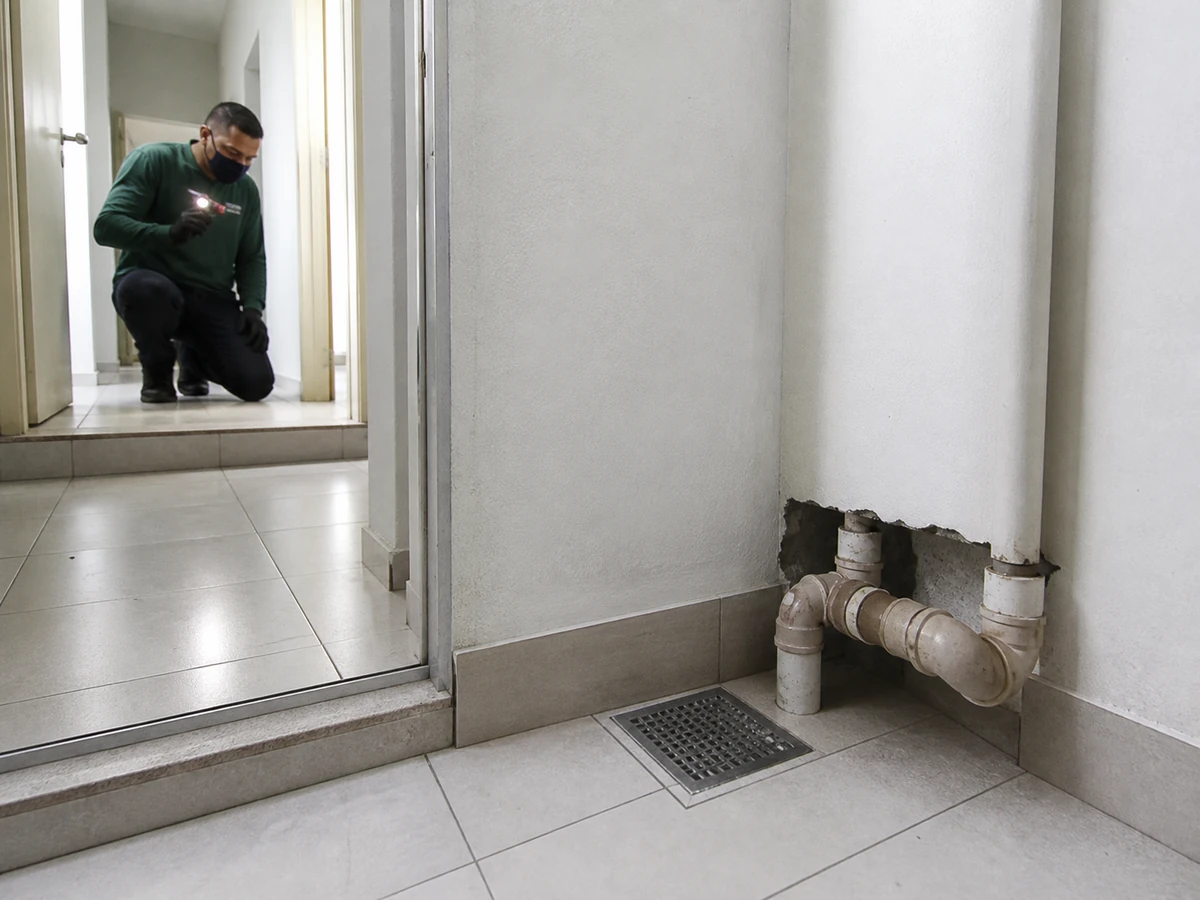 Tubulações e possíveis acessos avaliados durante controle profissional de pragas